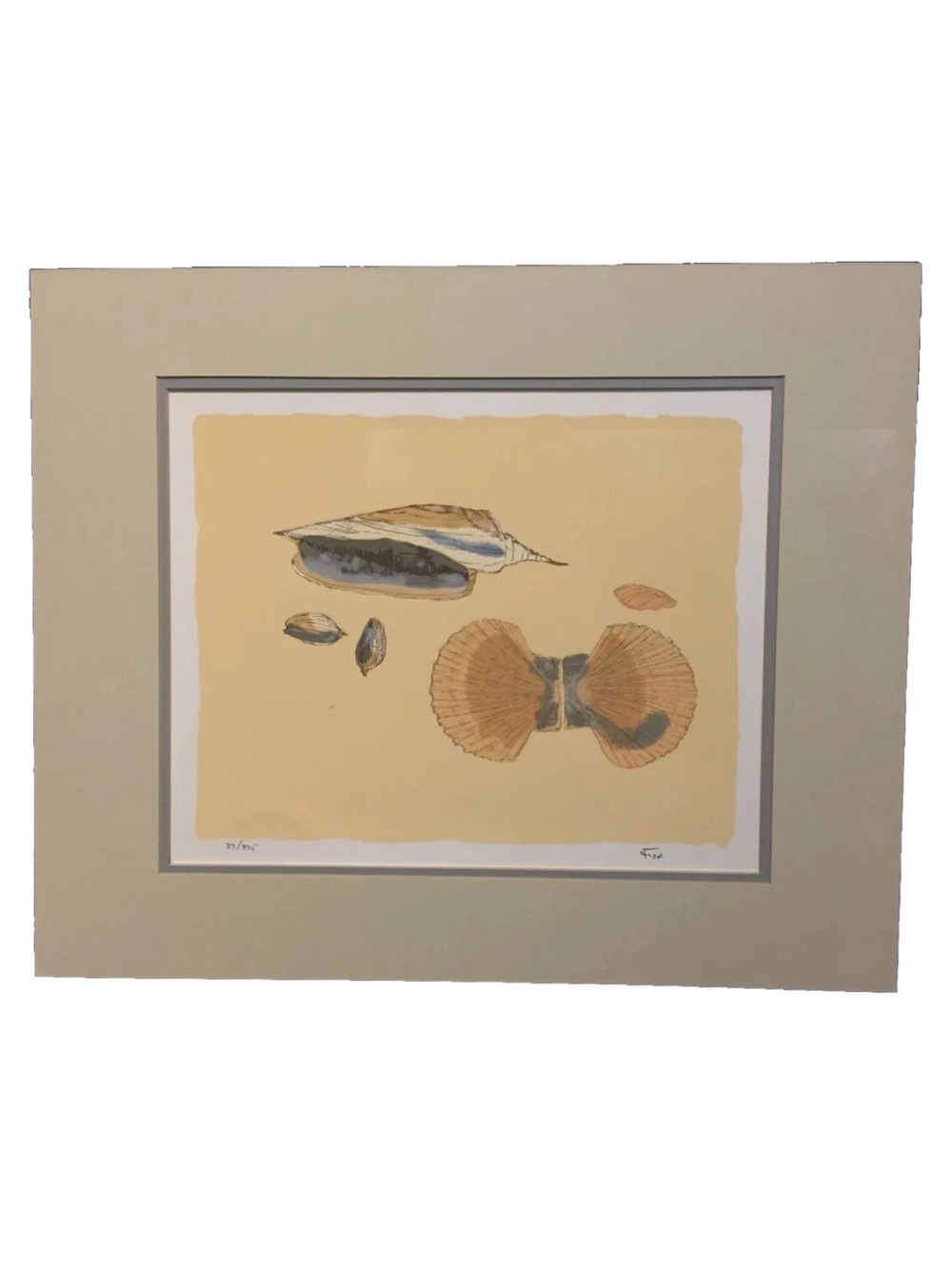 Vintage FOX Signed #87 Limited Edition SERIGRAPH Print SEASHELLS 18x22" Scallop